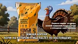 Индюк-богатырь с Аннушкой Адамовой